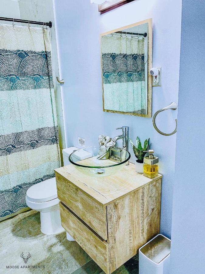 Apartment The Moose #3 - Modern Luxe With Free Gated Parking & Wifi Memphis